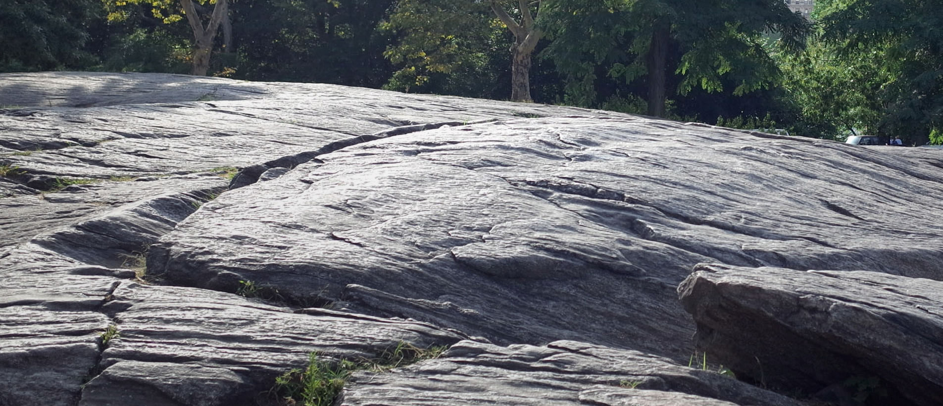 banner.jpg banner.jpg